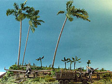 Рабаул. Трофейная команда, 1944 год (Это стоит посмотреть)
