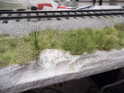 P1020336.JPG